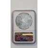 Image 4 : NGC 2025-P MS 69 1 Troy Ounce .999 Fine Silver American Eagle With EAGLE Privy Mark