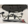 Image 2 : Bow and Arrows In Case 