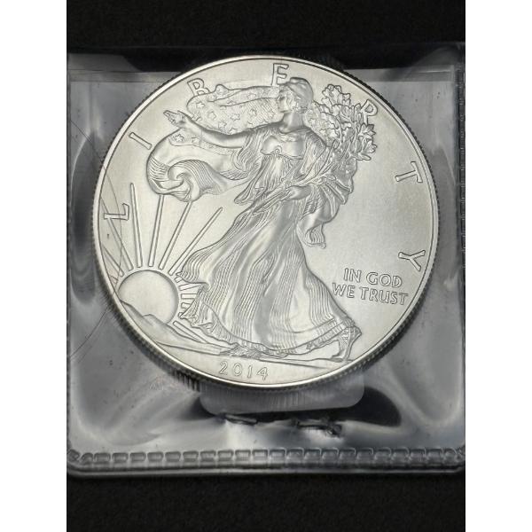 2014 Silver Eagle - 1 Ounce Fine Silver - in Plastic Coin Case - Mintage 44,006,000