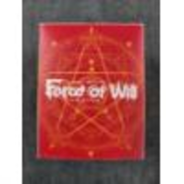 HUGE Lot of Assorted Vanguard & Force of Will Trading Cards in Deck Box ~ MANY HOLO INCLUDED!
