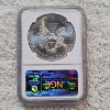 Image 2 : NGC MS69 Graded 2015 .999 Fine Silver 1oz. Eagle