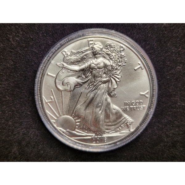 1 Oz .999 Fine Silver 2018 American Eagle Round in Capsule Protector