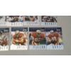 Image 7 : Over 100 1995 Playoff Contenders Football Cards Including Bernie Kosar, Jim Kelly & More 