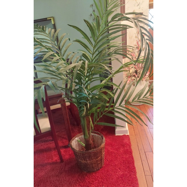 67 Inch Overall Height Palm Tree & Stand - Excellent Condition