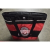 Image 4 : Ohio State Corn Hole Boards & Bags And 21''x18'' Insulated Cooler Bag