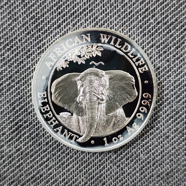 One Troy Ounce .9999 Fine Silver African Wildlife Elephant 2021 Somali Republic 100 Schillings Round