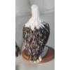 Image 5 : Assorted Decorative Eagle Figures