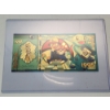 Image 1 : RARE 1996 Pokémon 999999 Gold Foil Note - Squirtle - Mint Condition in Protective Holder            