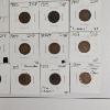 Image 3 : Substantial Collection of 42 Indian Head Pennies FV: $.42