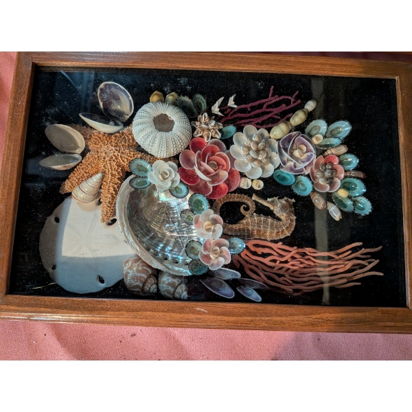 2 Beautiful Real Shell Shadowboxes (12"x8" & 10"x18") And Adorable New Dolphin Candle