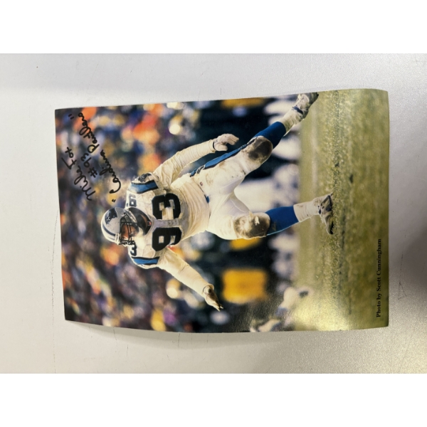 Mike Fox #93 Carolina Panthers Poster