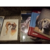 Image 4 : Shihtzu Group. Mouse Pad, New Ornaments, Life Like Replica Dogs, Books & More