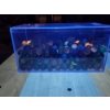Image 6 : Large Assortment of Marbles Including Uranium! - See Photos!