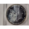 Image 6 : 1991 United States One Troy Oz American Eagle .999 Fine Silver Round in Protective Case