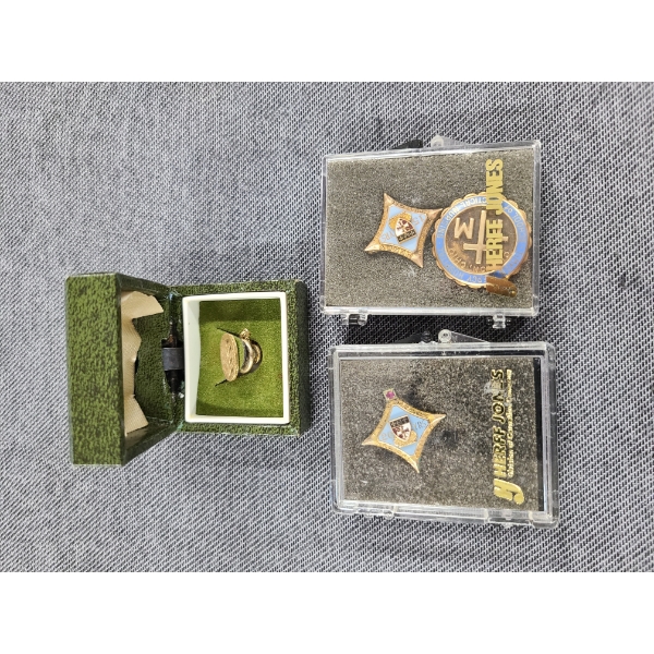 6 Gram 10K Gold Timken Mercy Hospital Pin With Two Golf Filled Timken Mercy Hospital Pins