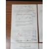Image 11 : Lot of (8) The Grand Union Company Stock Certificates - Dated 1963, 1965, 1959, 1964