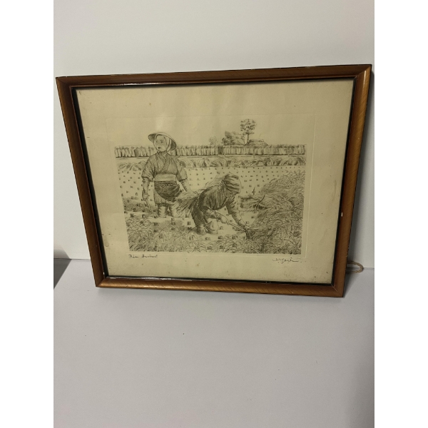 Photo in Frame
