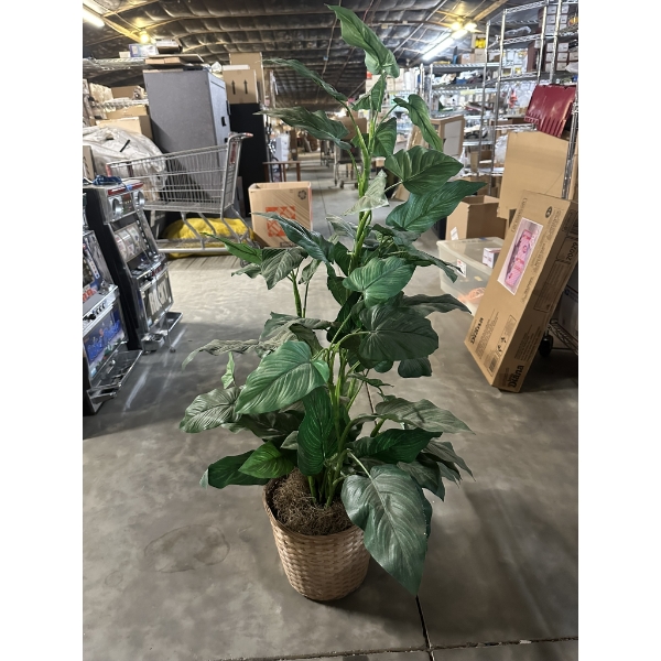 Decorative Faux Plant - Pickup Only