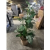 Image 1 : Decorative Faux Plant - Pickup Only