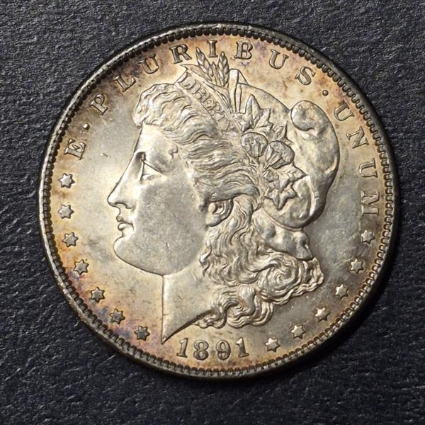 Nice Toned 1891 S Morgan Silver Dollar - See Pics