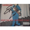Image 3 : Autographed Adam Sandler "What The H*** Happened To Me?" CD Album Cover - DISC INSIDE DOES NOT MATCH