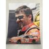 Image 4 : 3 8X10 NASCAR Photos- #24 Jeff Gordon, #11 Denny Hamlin, #20 Tony Stewart 