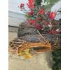 Image 3 : Huge Wreath Lot - with 4 Pre Decorated Wreaths
