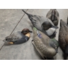 Image 3 : Eleven Life Size Floating Duck Decoys 