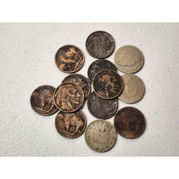 13 Assorted Years Buffalo and "V" Nickels FV: $0.65