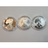 Image 2 : American Eagle 20th Anniversary Silver Coin Set: (3) 2006 1oz Silver Eagles! 