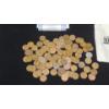 Image 3 : Uncounted, Unsearched Assorted Wheat Pennies & 1st Commemorative Mint Bag