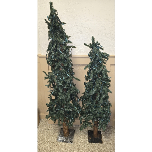 Set of 2 Pre-Lit Pine Trees - 60" & 50"