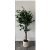 Image 2 : Artificial Tree - Good Condition !