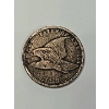 Image 1 : 1858 Flying Eagle Cent