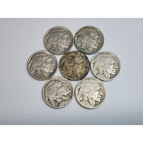 Lot of (7) Assorted U.S. Buffalo Nickels FV: $0.35