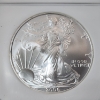 Image 2 : 2006 American Silver Eagle $1 First Strikes - 1 oz .999 Fine Silver - Graded by NGC MS 69