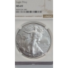 Image 2 : NGC 2025-P MS 69 1 Troy Ounce .999 Fine Silver American Eagle With EAGLE Privy Mark