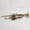 Image 6 : Vintage Raw Brass B-Flat Piston-Valve Trumpet with Silver-Rimmed Bell with Storage Case