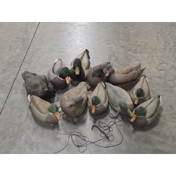 Eleven Life Size Floating Duck Decoys 