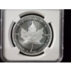 Image 3 : NGC PF70 Modified 2019 Canada Pride of Two Nations Set 1 Oz Silver Maple Leaf 