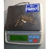 Image 7 : Collection Of Assorted Gold Plated Sterling Silver Jewelry - Total Weight: 9.4g