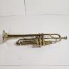 Image 1 : Vintage Raw Brass B-Flat Piston-Valve Trumpet with Silver-Rimmed Bell with Storage Case