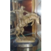 Image 19 : Select Here To View A Sampling Of Featured Items In This Auction!