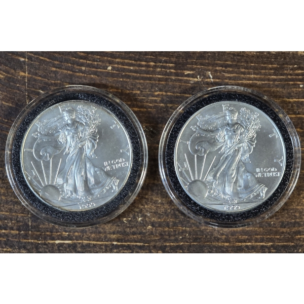 (2) 1999 American Silver Dollars