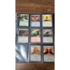 Image 12 : 
Large Assortment Of Magic The Gathering Cards Including Signed, Holos & Common Cards