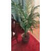 Image 2 : 67 Inch Overall Height Palm Tree & Stand - Excellent Condition