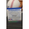 Image 8 : Authentic PSA Certified Dave Portnoy Autographed Baseball Sitting In Mini Glove With Display