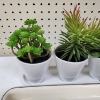 Image 6 : Home Decor Lot Featuring Ceramic Planters W/ Faux Plants & Decorative Over Safe Platter with Holding