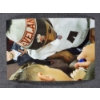 Image 3 : Deshaun Watson Autographed Foam Dawg Pound Ornament 