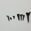 Image 2 : Lot of Assorted Shark Teeth and Arrowhead